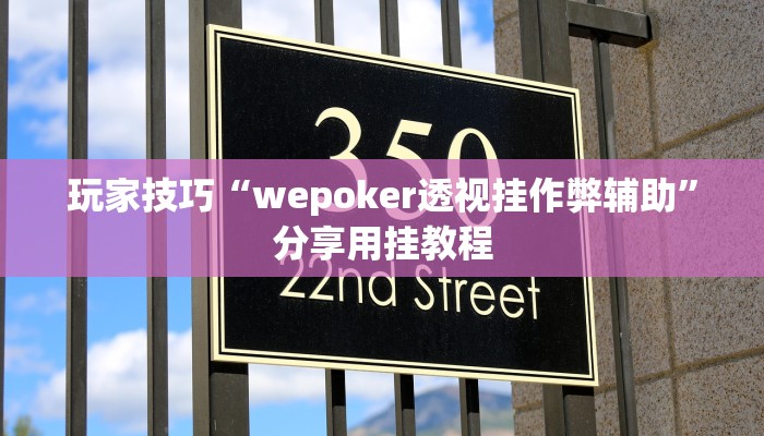 玩家技巧“wepoker透视挂作弊辅助”分享用挂教程 玩家技巧“wepoker透视挂作弊辅助”分享用挂教程
