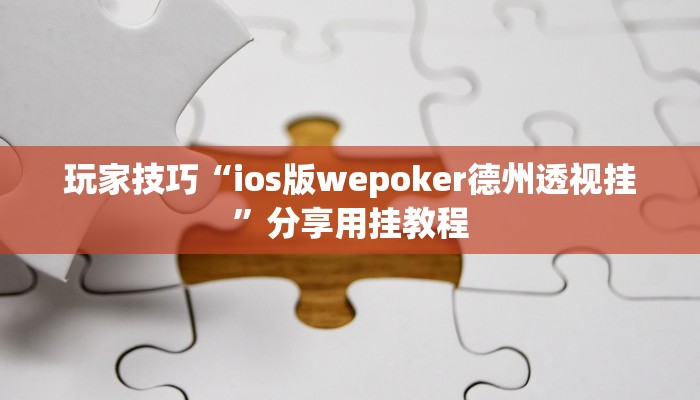 玩家技巧“ios版wepoker德州透视挂”分享用挂教程