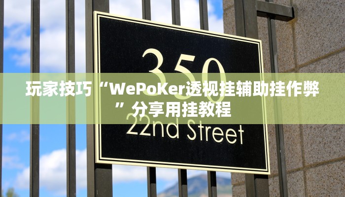 玩家技巧“WePoKer透视挂辅助挂作弊”分享用挂教程 玩家技巧“WePoKer透视挂辅助挂作弊”分享用挂教程