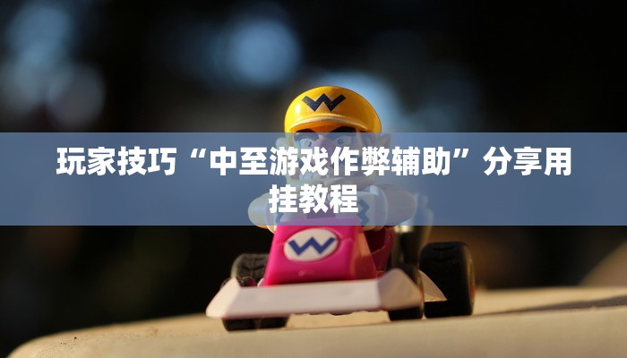 玩家技巧“中至游戏作弊辅助”分享用挂教程 玩家技巧“中至游戏作弊辅助”分享用挂教程