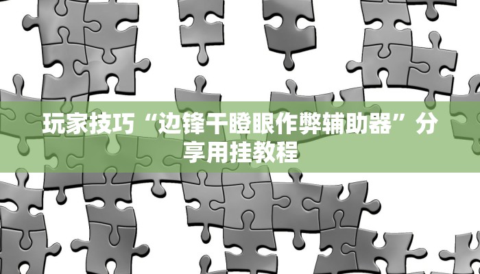 玩家技巧“边锋干瞪眼作弊辅助器”分享用挂教程 玩家技巧“边锋干瞪眼作弊辅助器”分享用挂教程