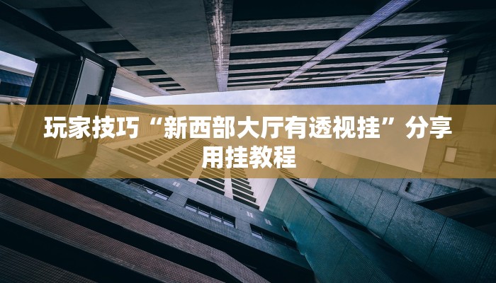 玩家技巧“新西部大厅有透视挂”分享用挂教程